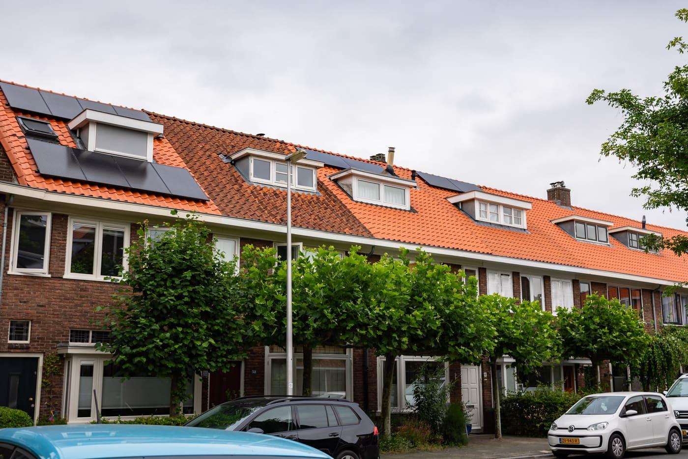 Pannendak Renovatie - afbeelding 3