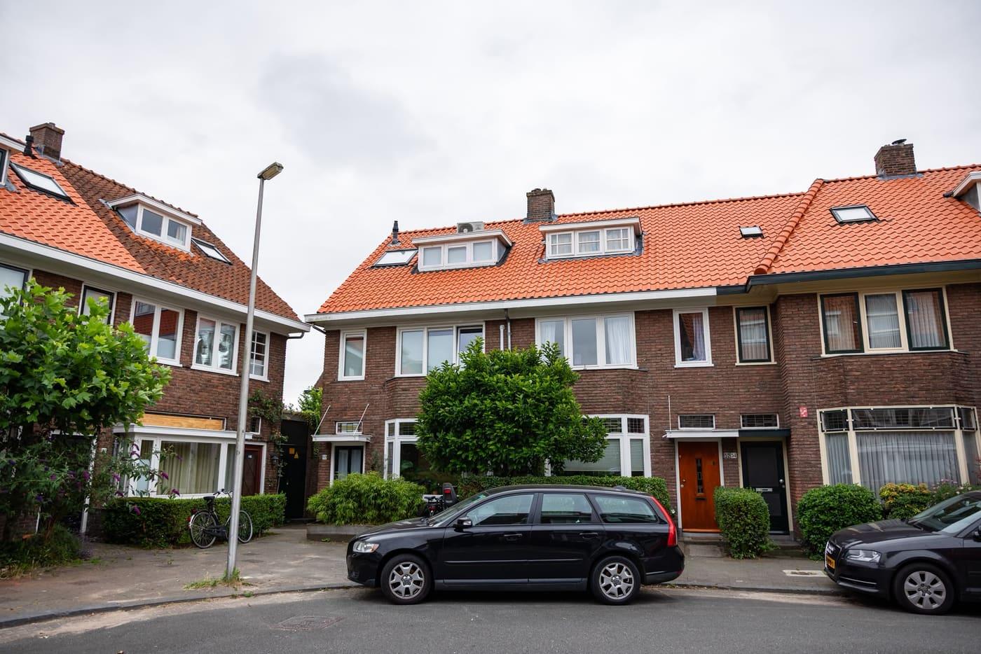 Pannendak Renovatie - afbeelding 4
